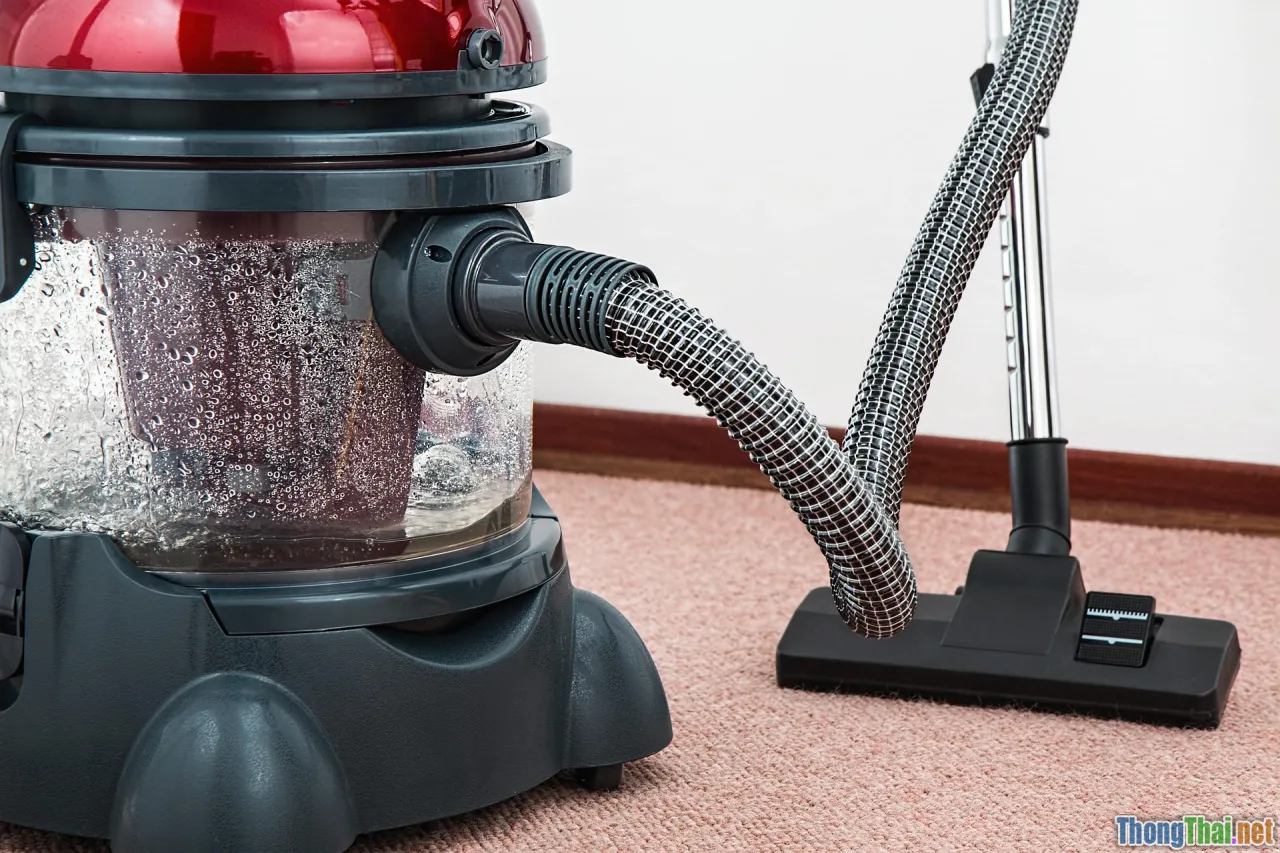 rug cleaning, maintenance, home care
