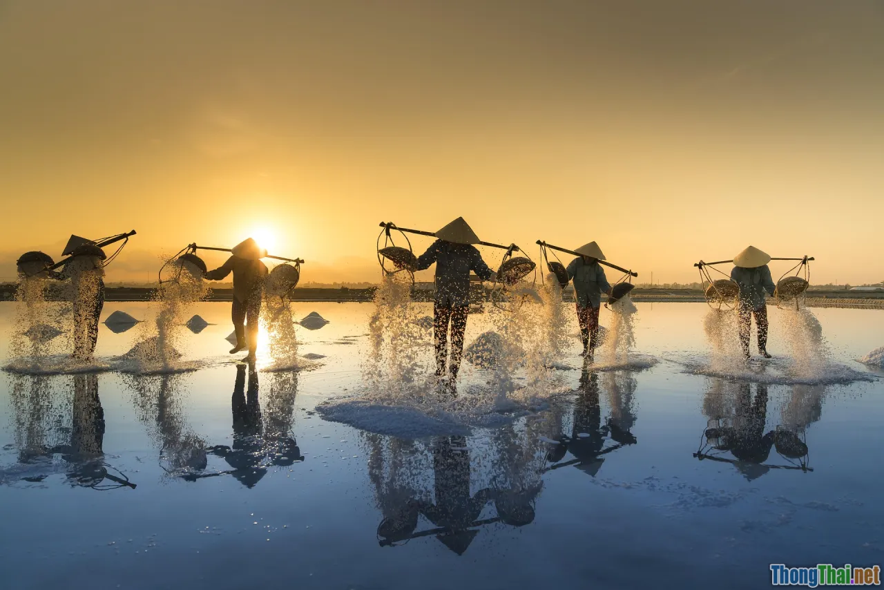 salt field, coastal women, hard work, sunrise