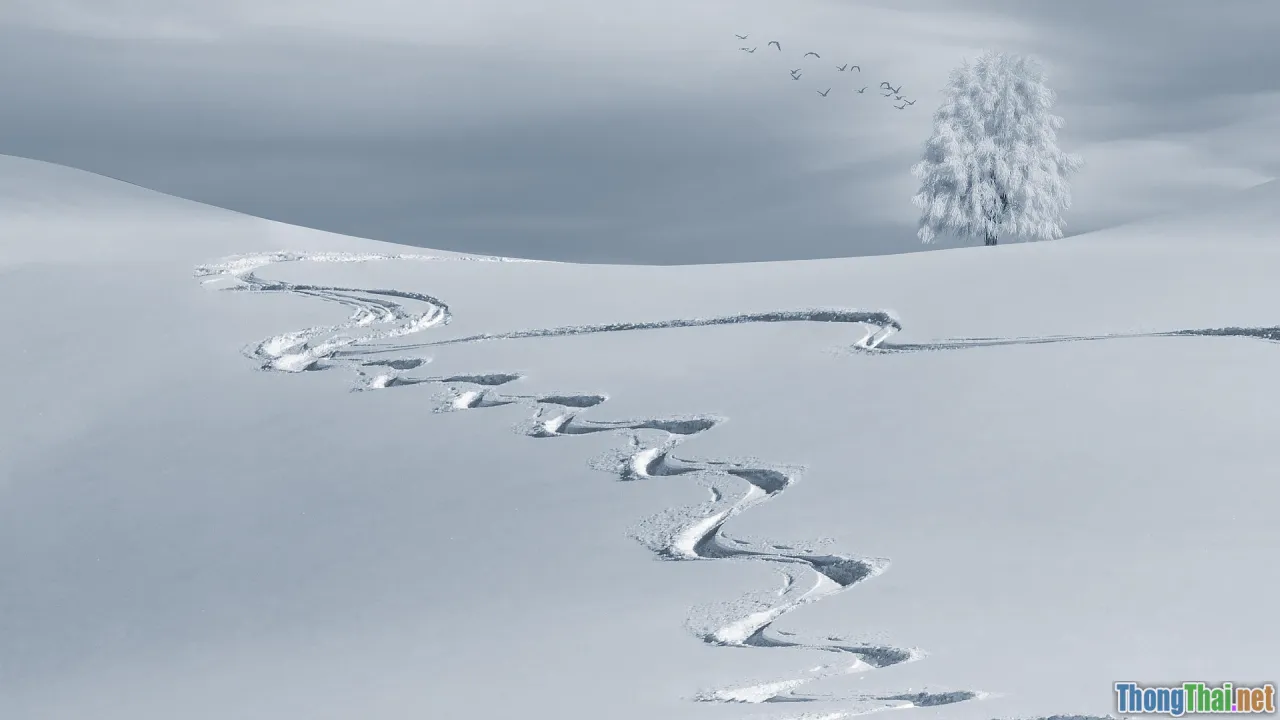sapa, snow, winter landscape, mountains
