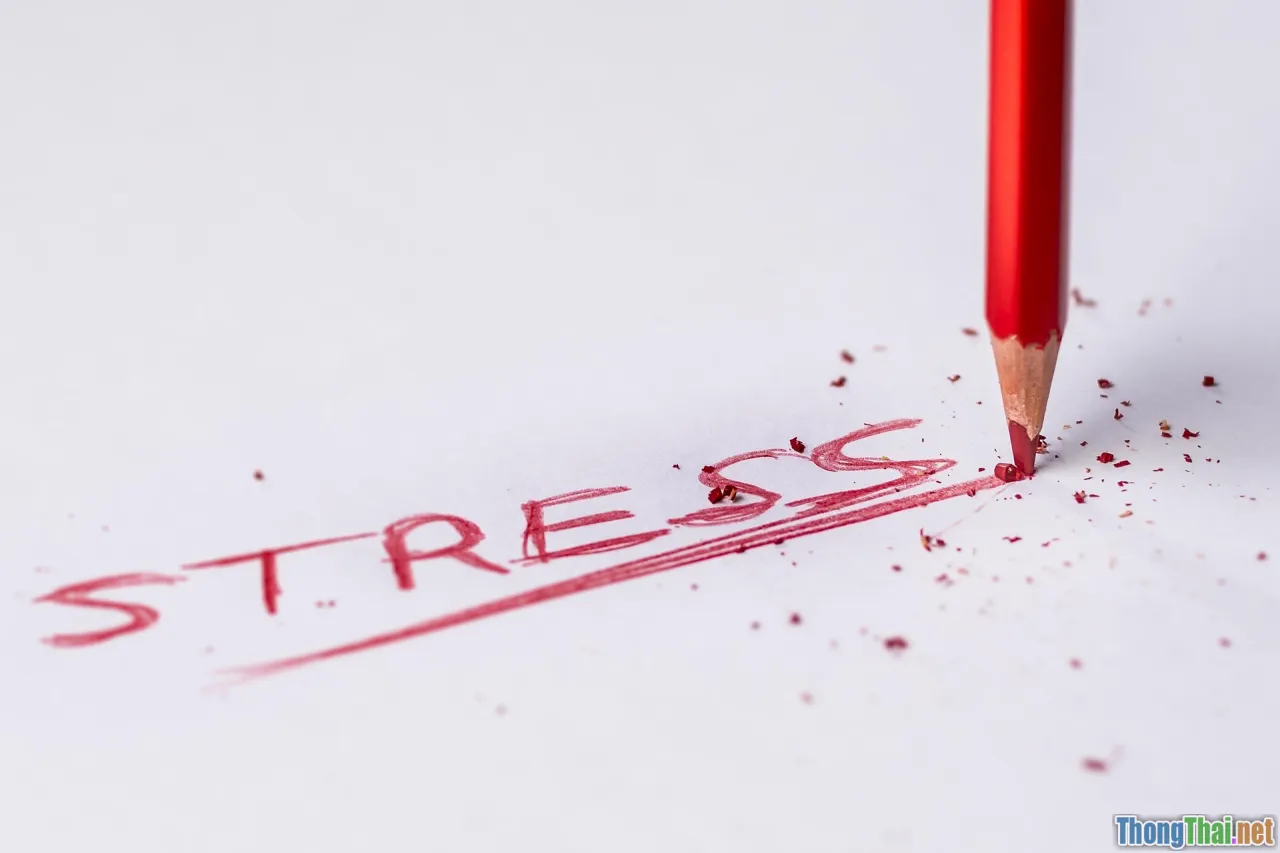 say no, life balance, modern stress