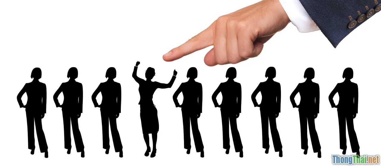 scorecard, comparison, criteria