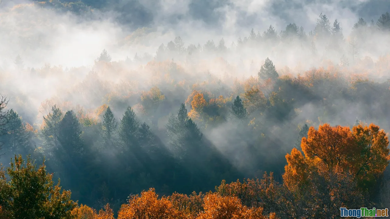 seasons, mist, autumn, spring festival