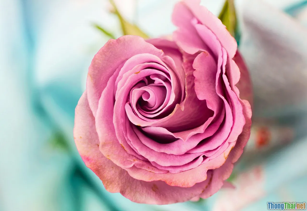 shallow breathing, stressed person