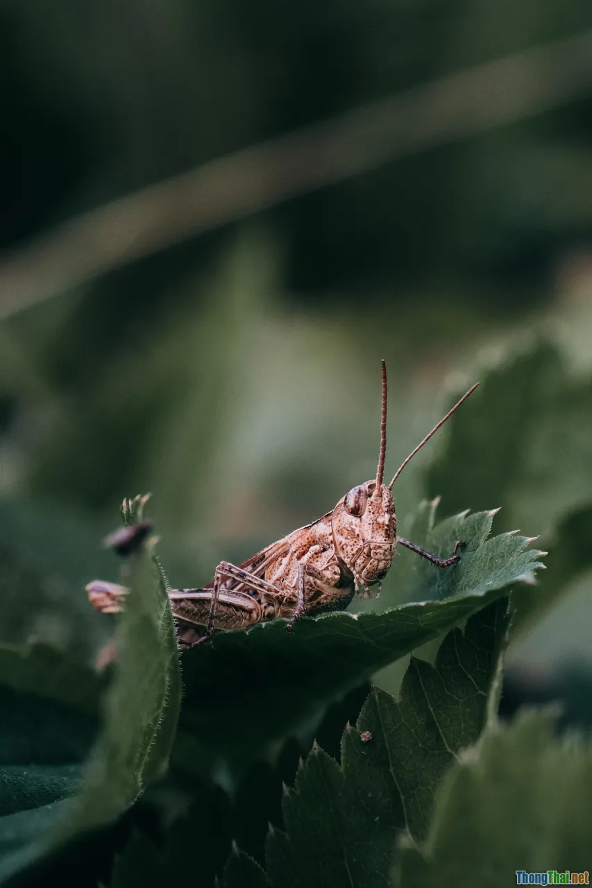 single-cell, CRISPR, spatial biology, AI