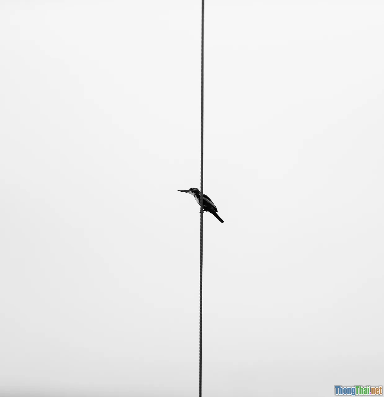 single container, image build, minimal setup