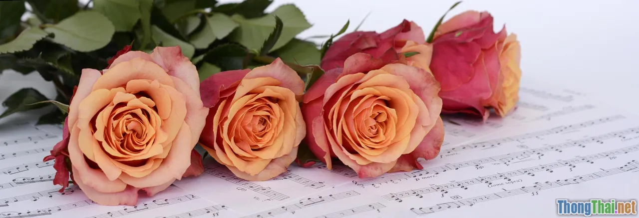 sketch to tote, grid layout, composition, color harmony