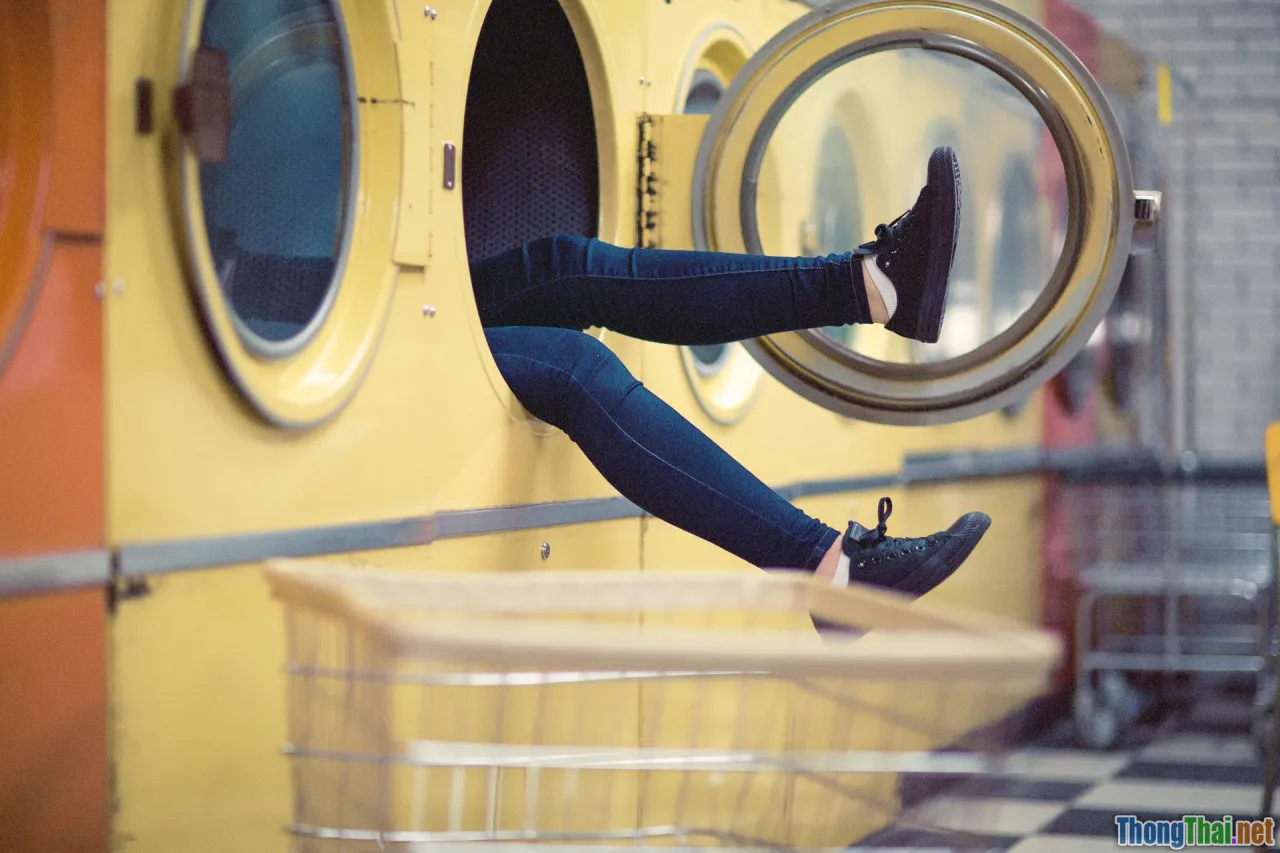 sneaker care, cleaning kit