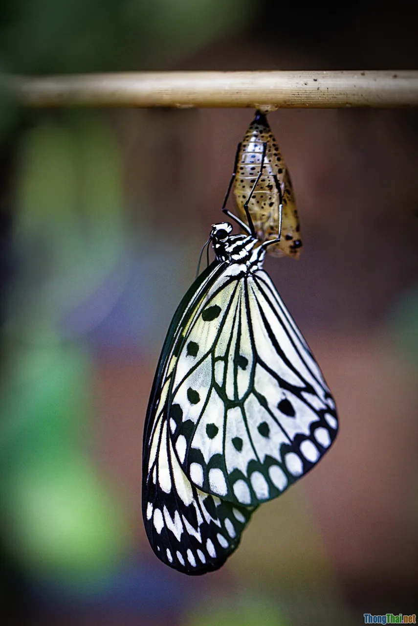 spiritual growth, life transformation, happiness