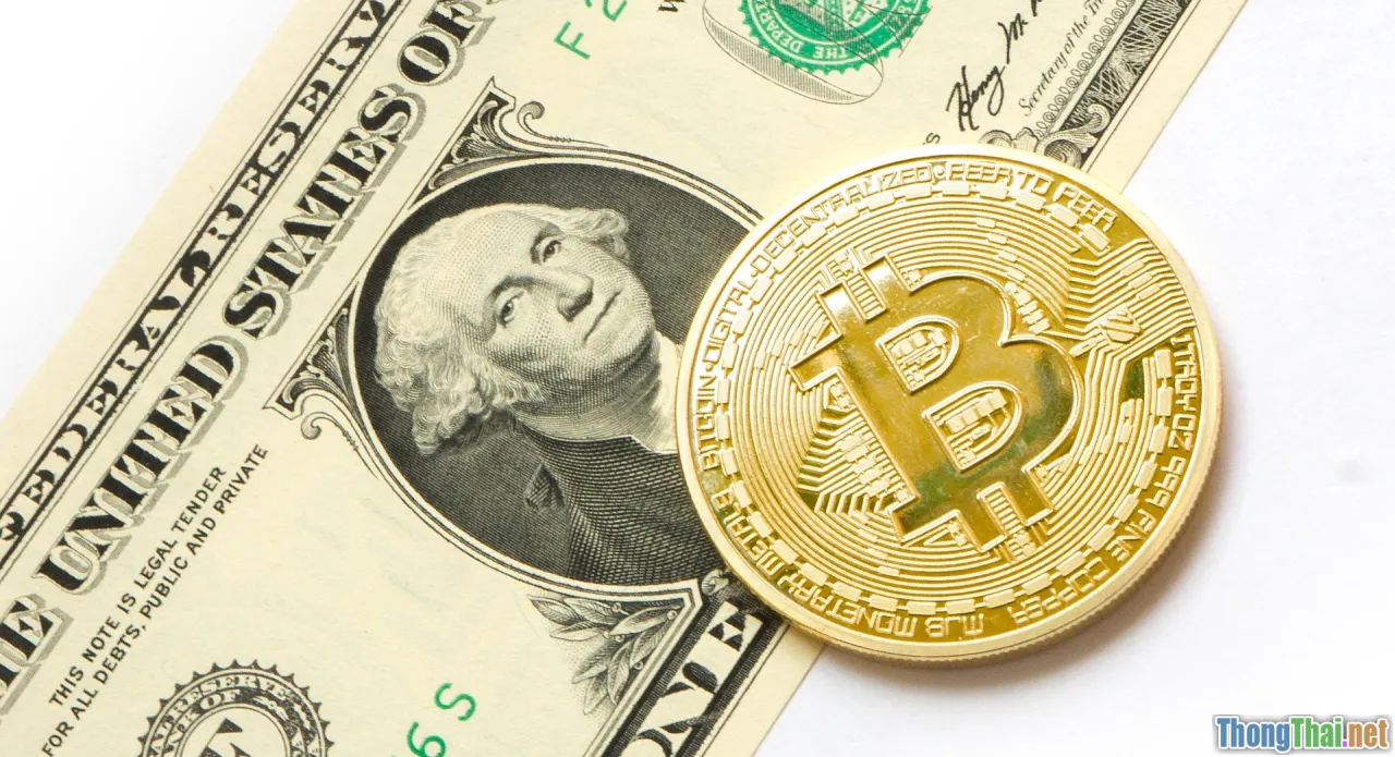 stablecoin, bitcoin, staking, comparison