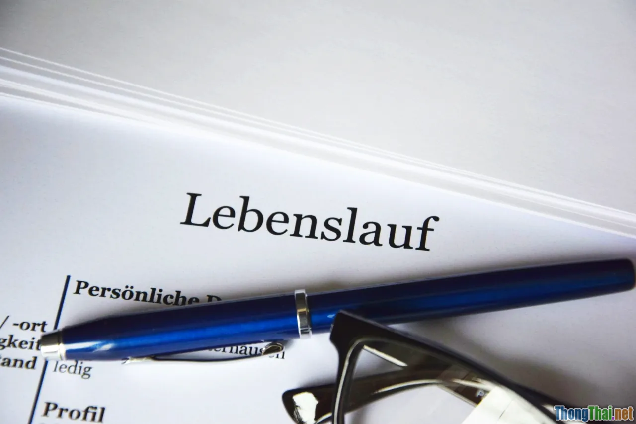 Top xu hướng nghề nghiệp bền vững sau năm 2025