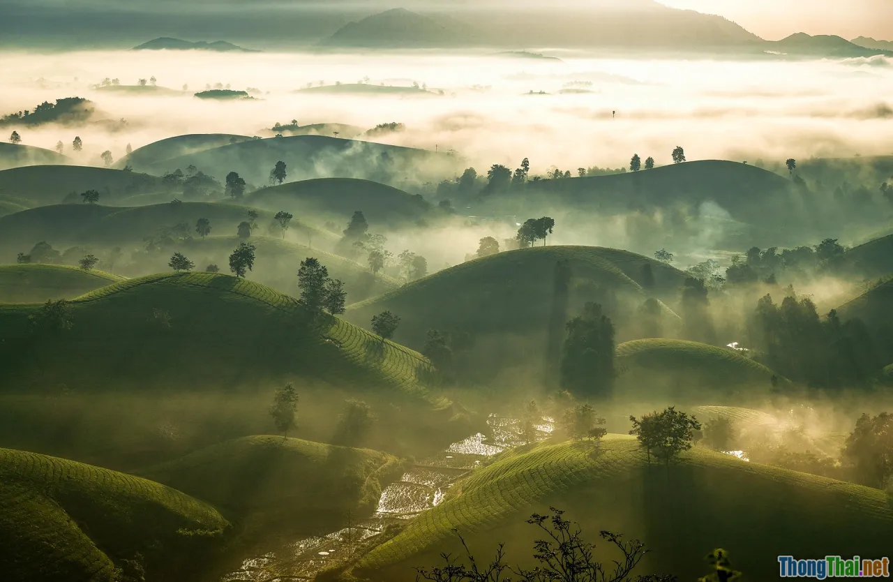 tanang phandung, sunrise landscape, grassy hills, Vietnam