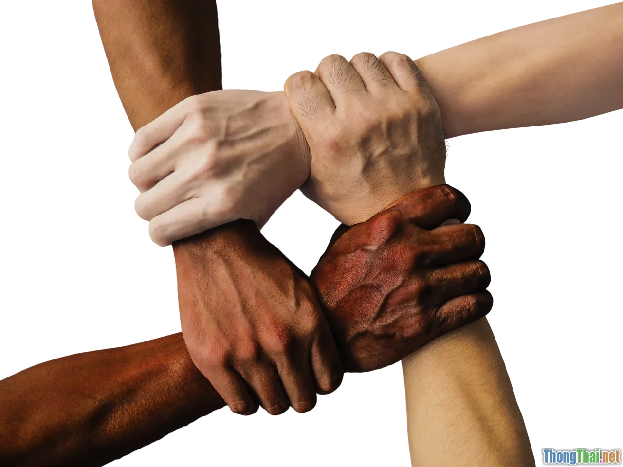 teamwork, roles, collaboration tools