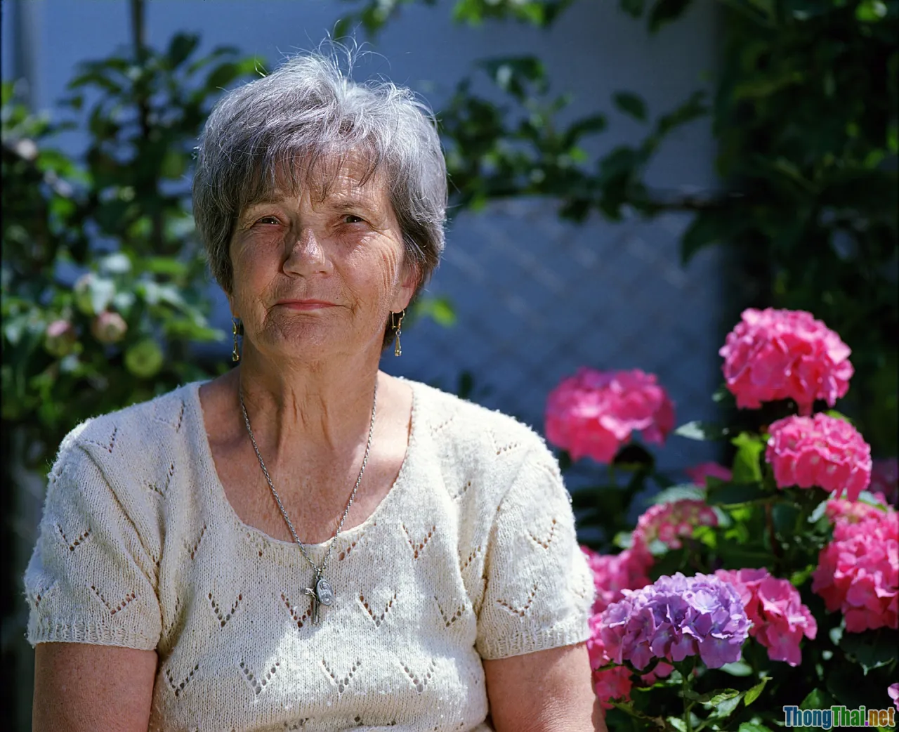 ticket discount, happy senior booking, travel deals