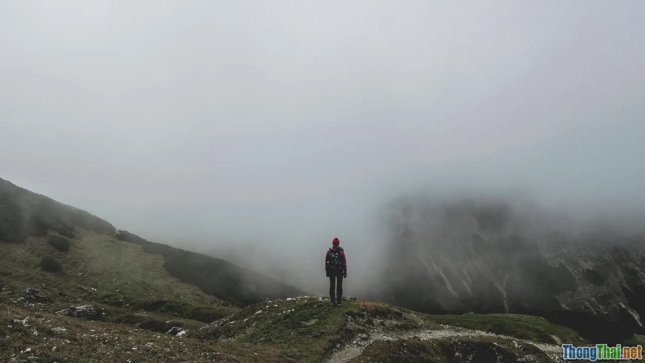 Tour trekking cung đường Tà Năng Phan Dũng có thực sự đáng thử