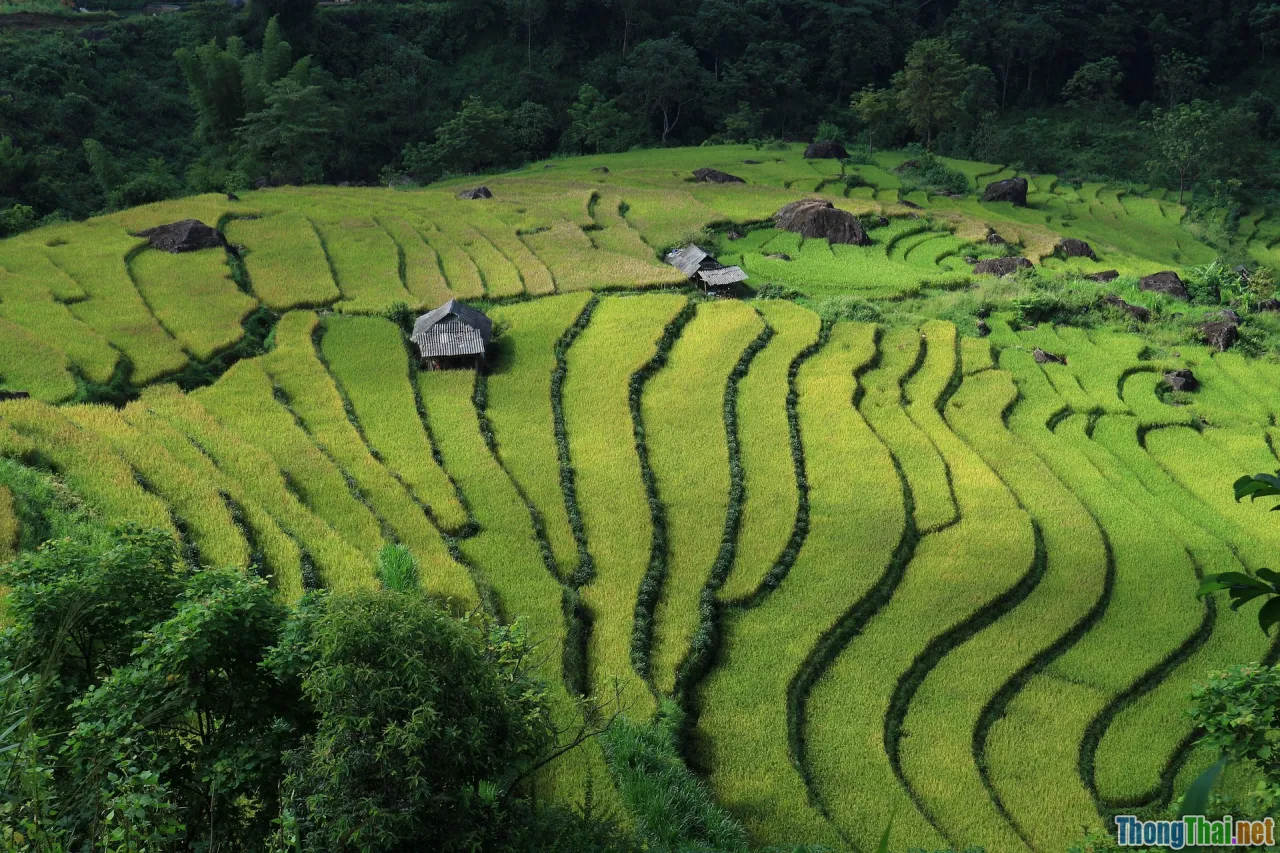 Vietnam map, policy, sustainability