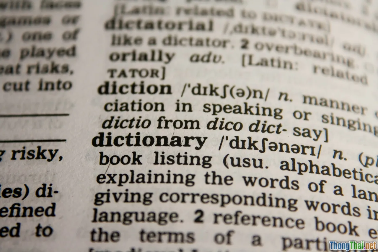 vocabulary lists, grammar structures