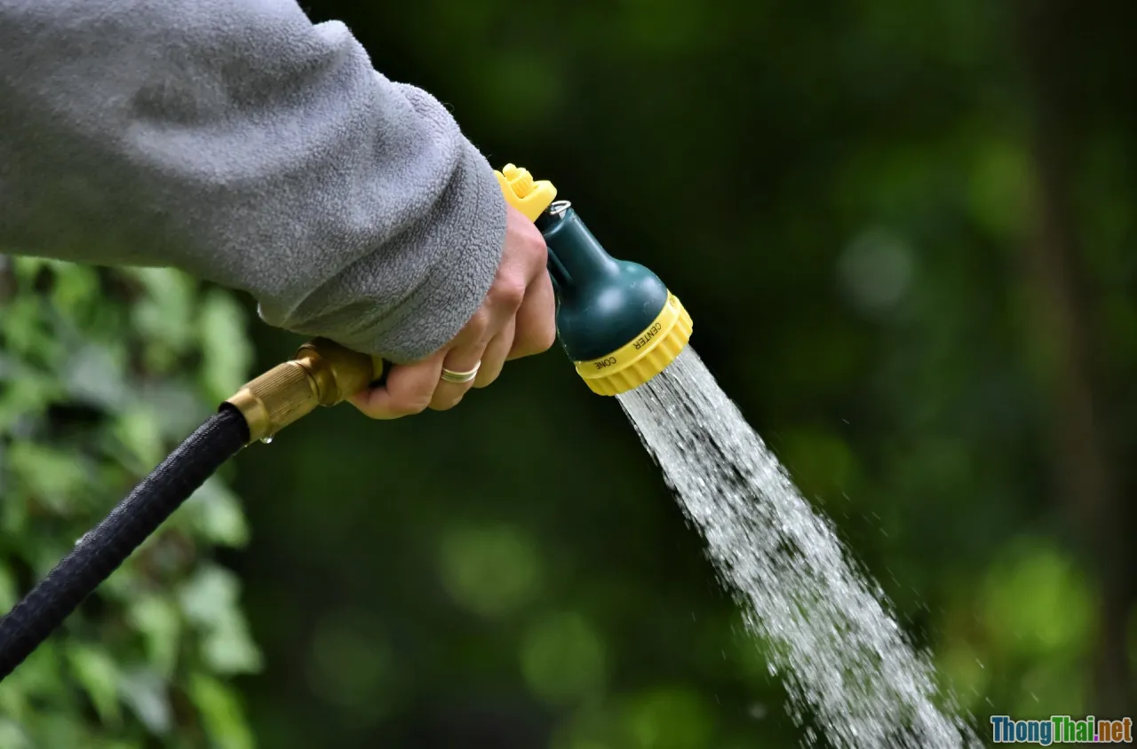 watering can, moisture meter, hygrometer, dry soil