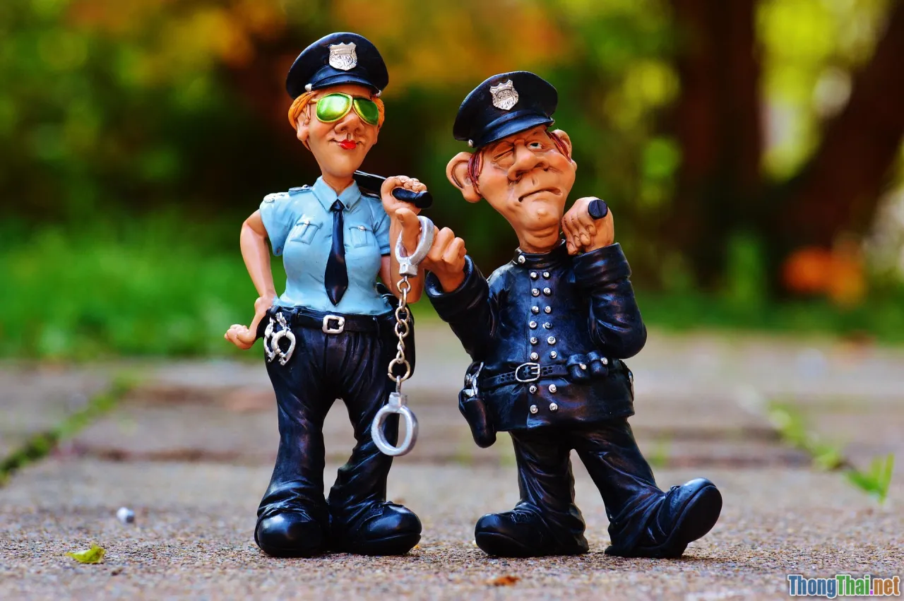 wildlife protection law, enforcement, international cooperation