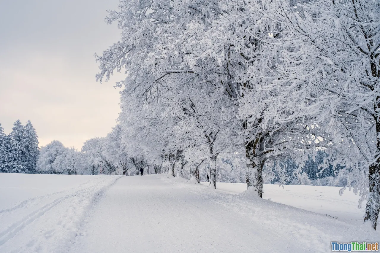 winter snow, happiness, sapa landscape