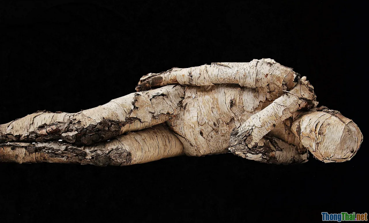 wood furniture maintenance, protect from scratches