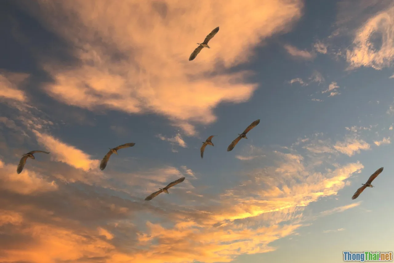 WPA3 upgrade, migration