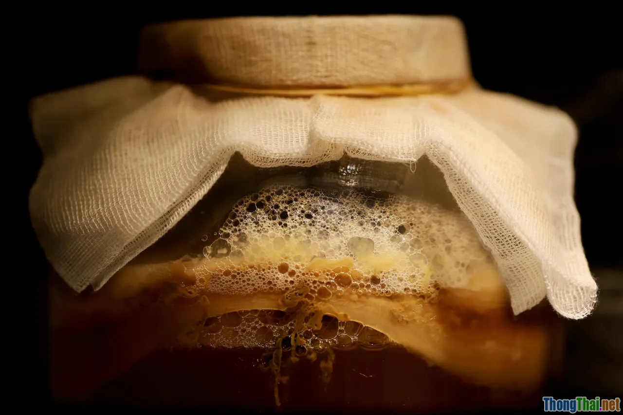 yogurt, kimchi, kombucha, fermented food