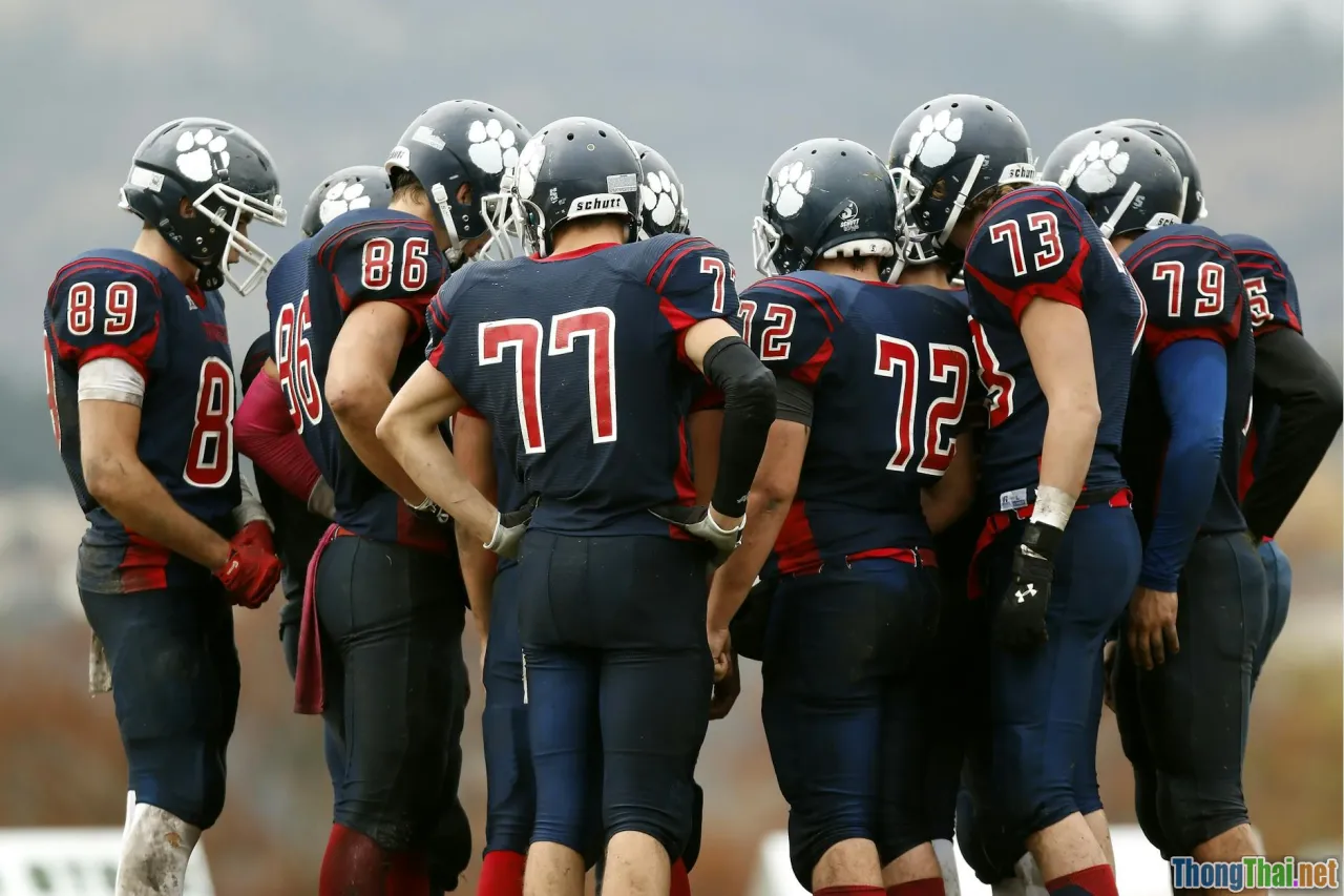 action plan, quick wins