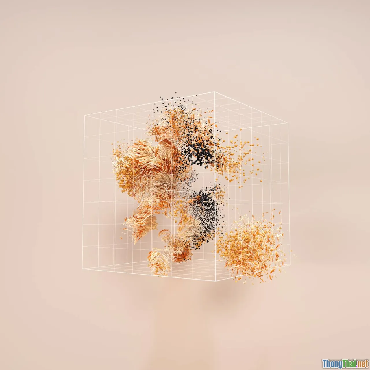 algorithm bias, out of the box analytics