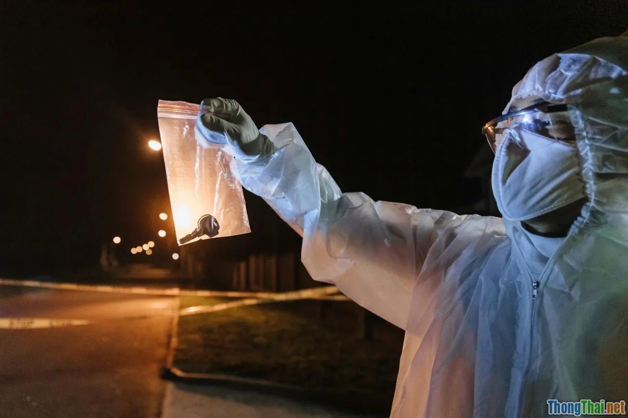 analysis, key scenes, interpretation