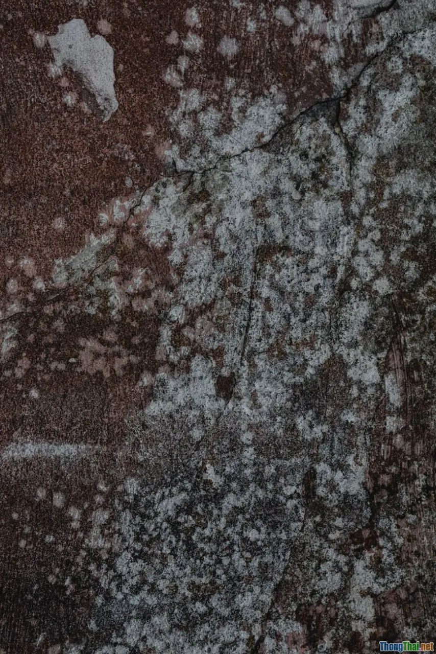 bacteria, mold, juice