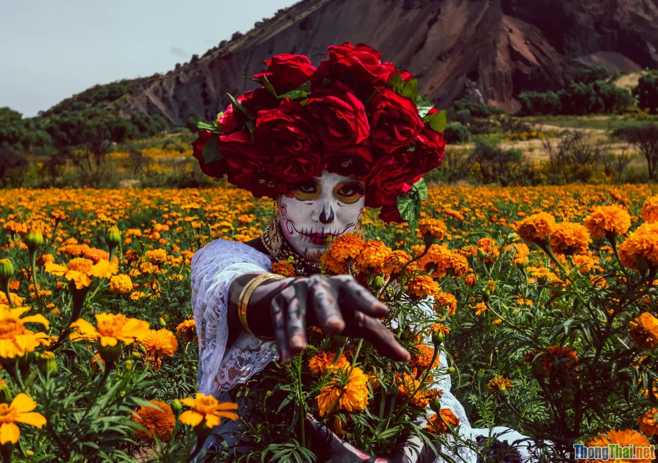 ban flowers, Dien Bien mountain, festival