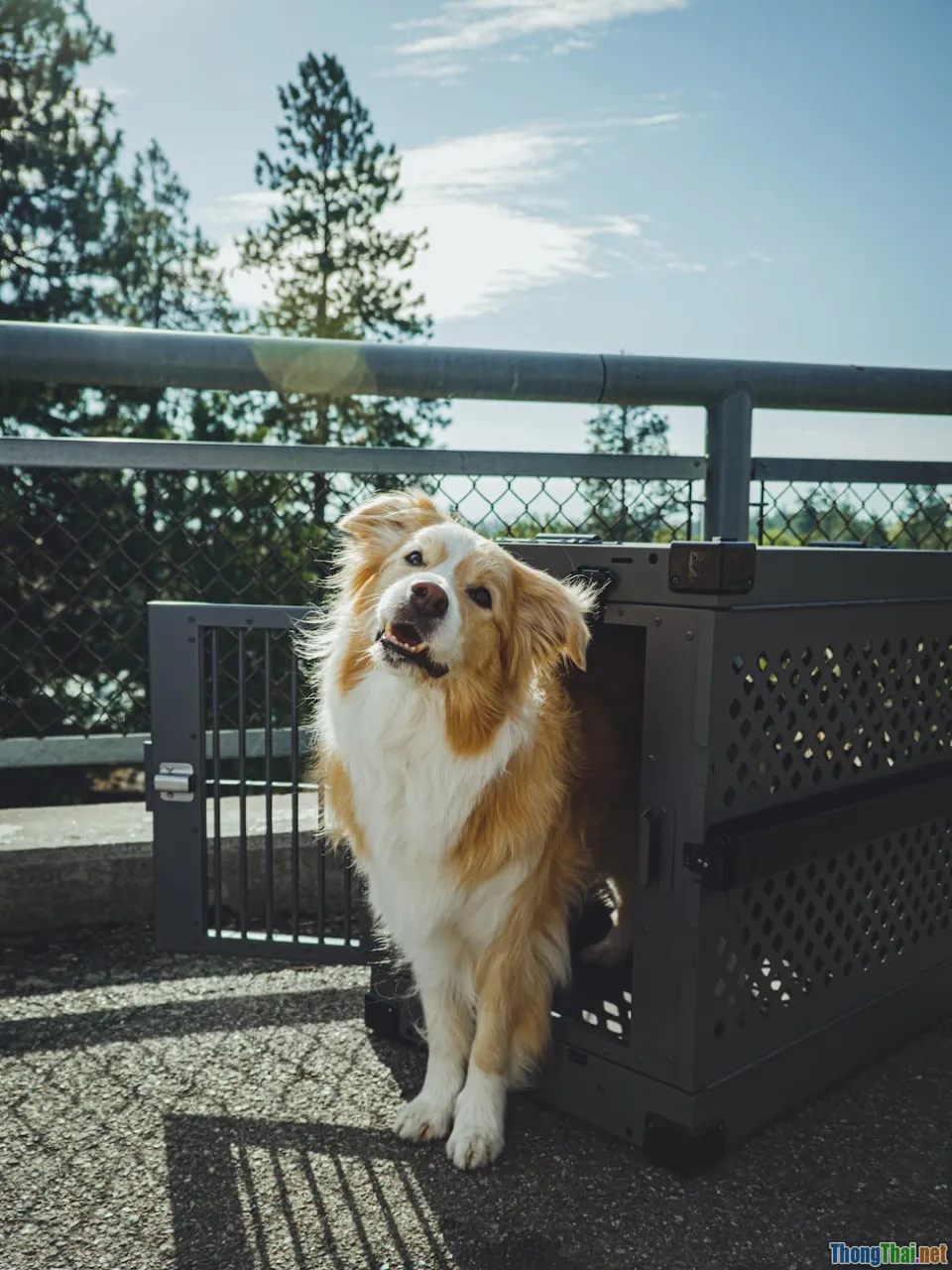 best practices, tips and tricks, secure analysis