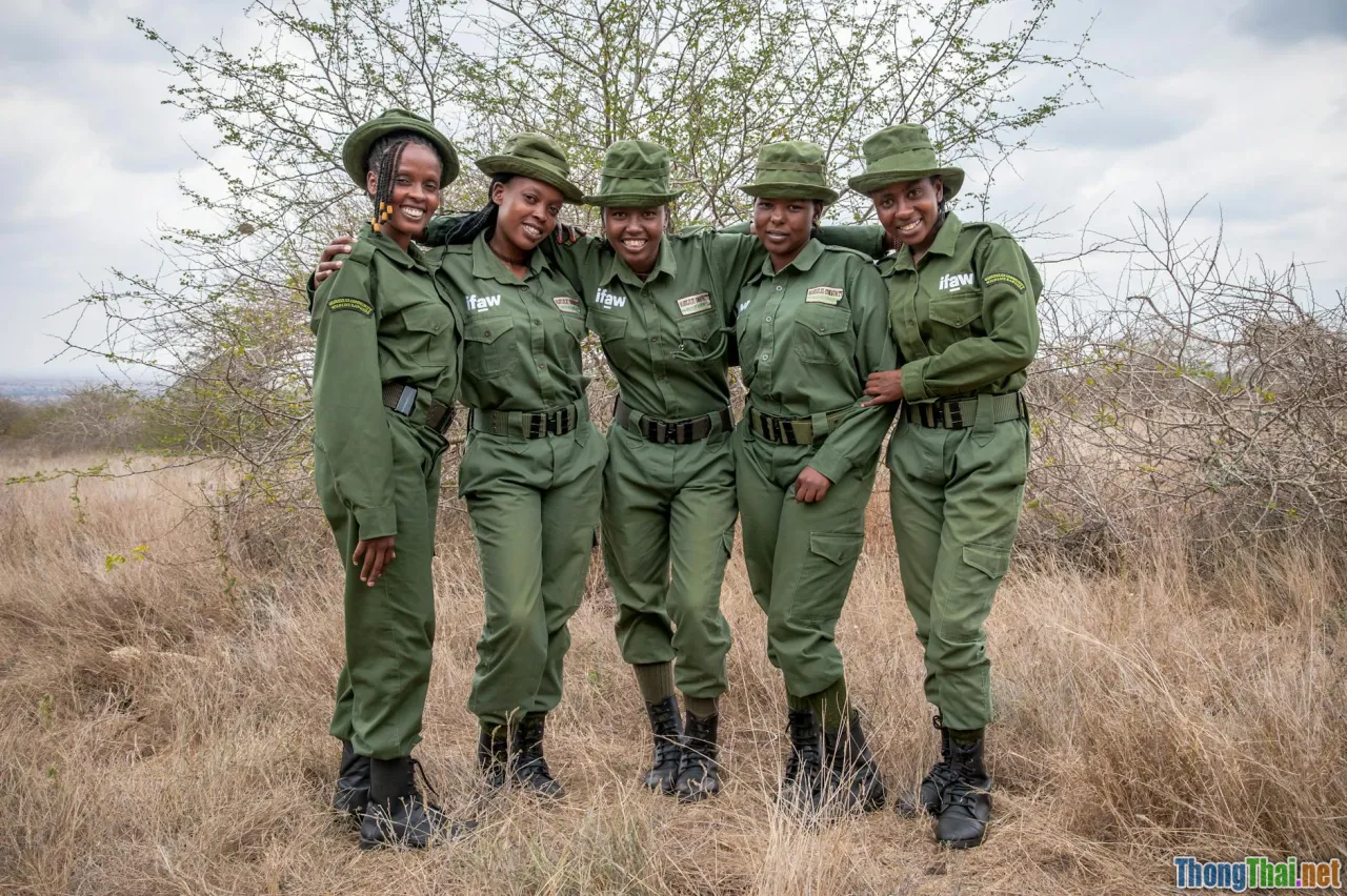 Bí quyết bảo vệ động vật hoang dã gần khu dân cư