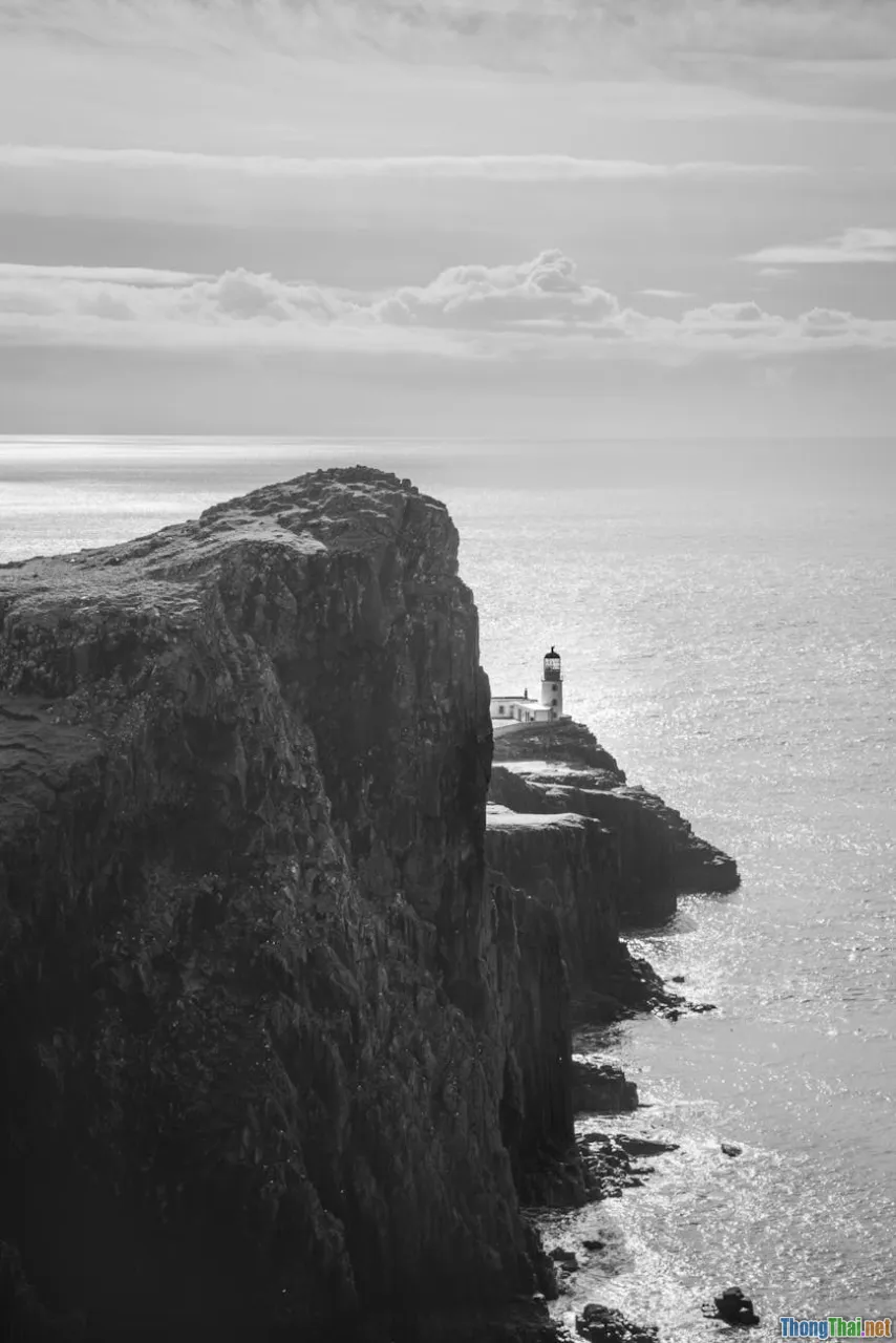 British heritage, Sea Island cotton