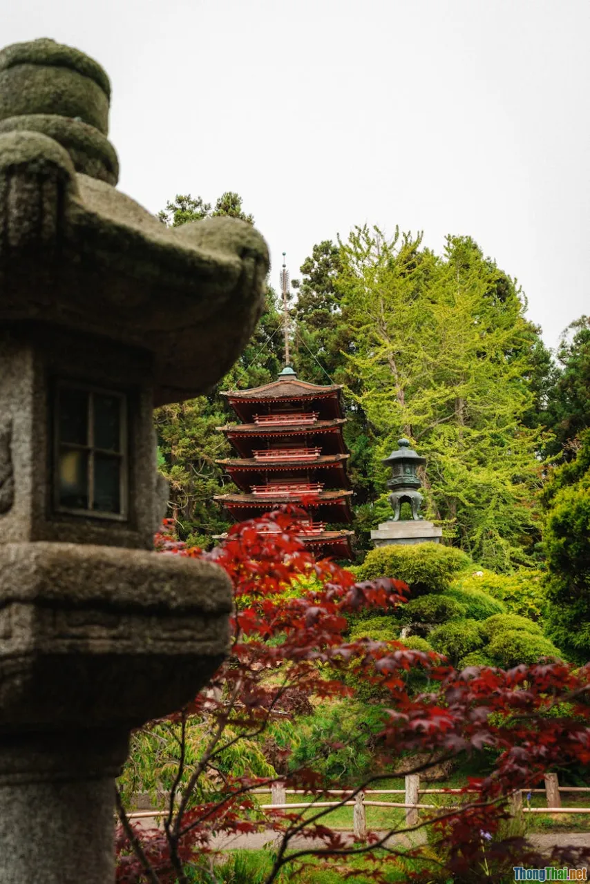 buddist tower, architecture, bonsai, tranquil garden