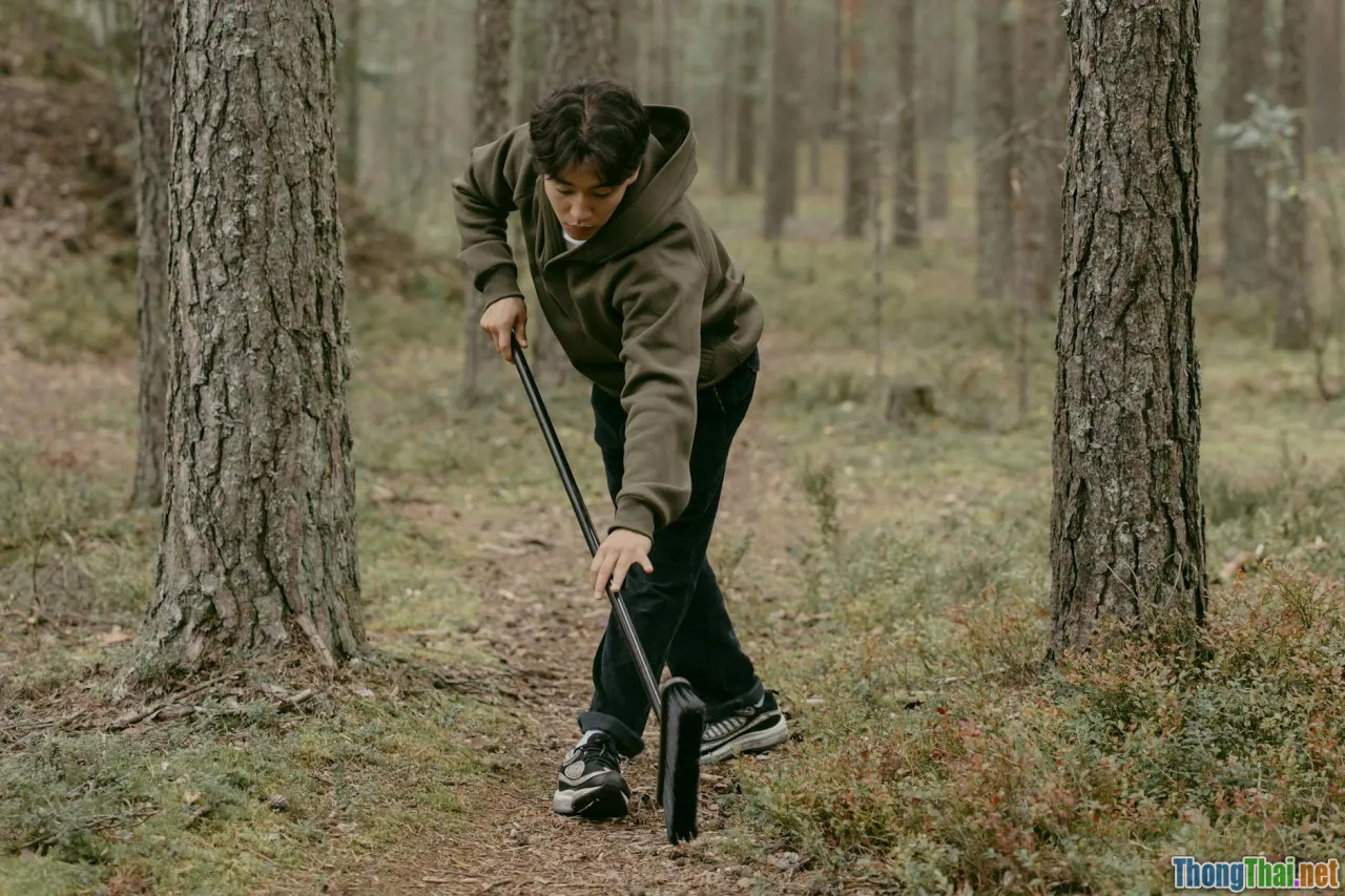 cabinet care, wood maintenance, cleaning tips