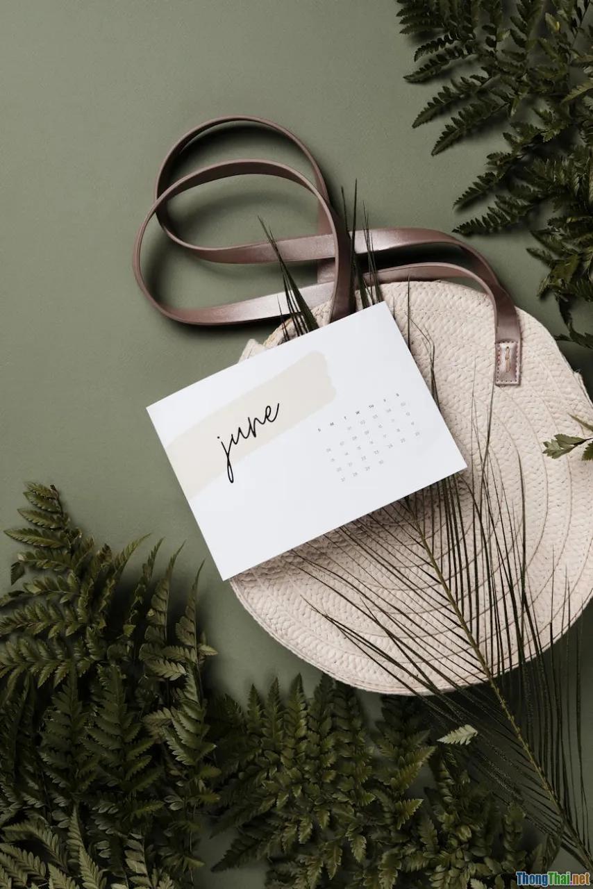 calendar, seasonal care, plant planner, checklist