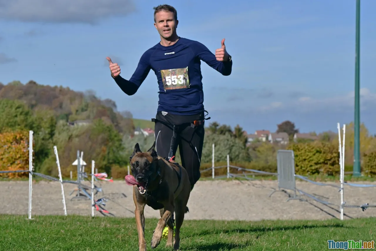 canicross, bikejoring, running dog