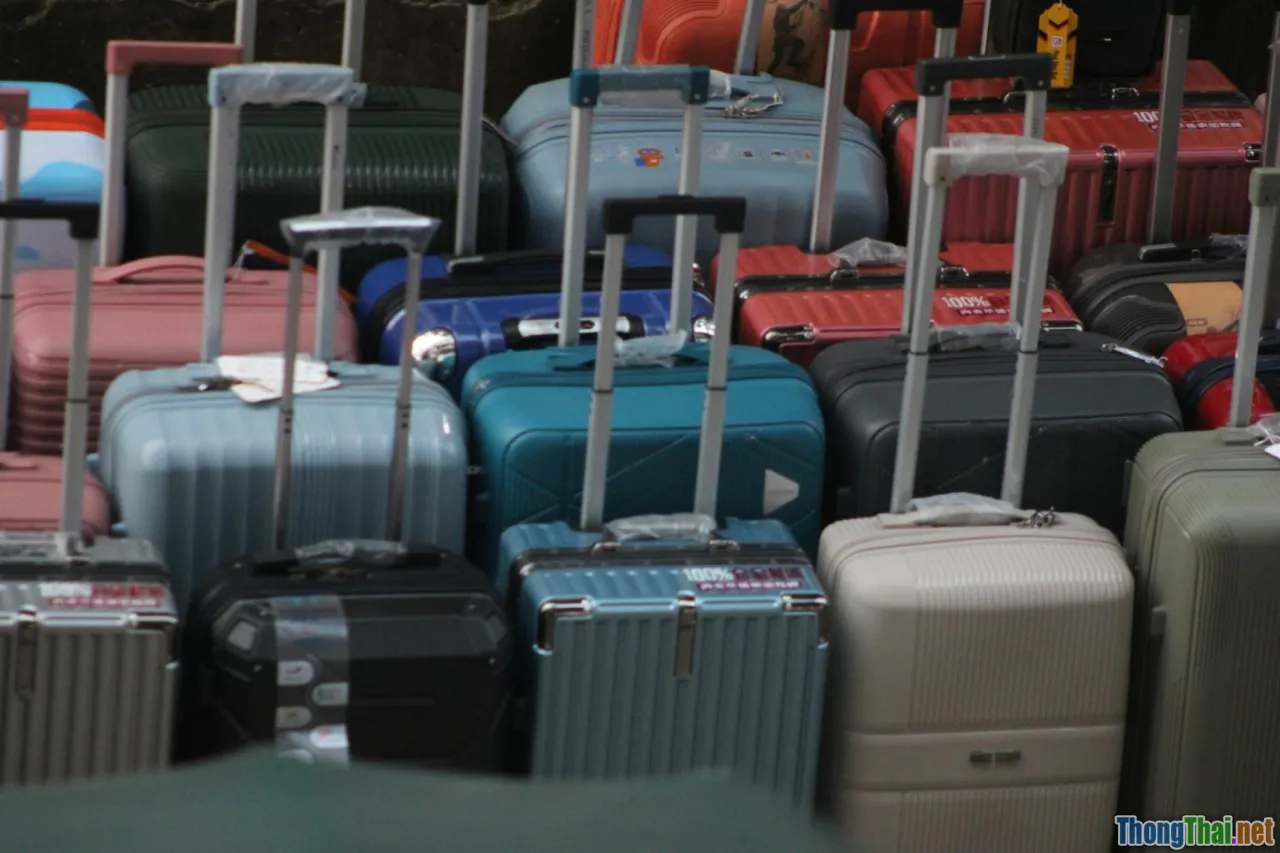 case studies, travel groups, scenarios