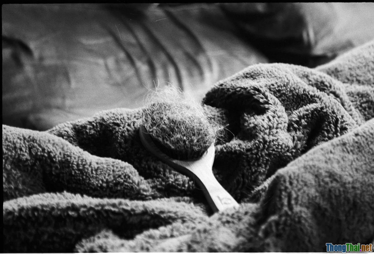 cleaning handmade, fabric care, soft brush