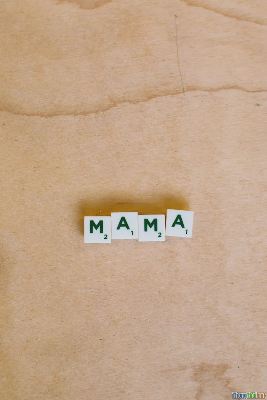 collocation, word family, synonyms