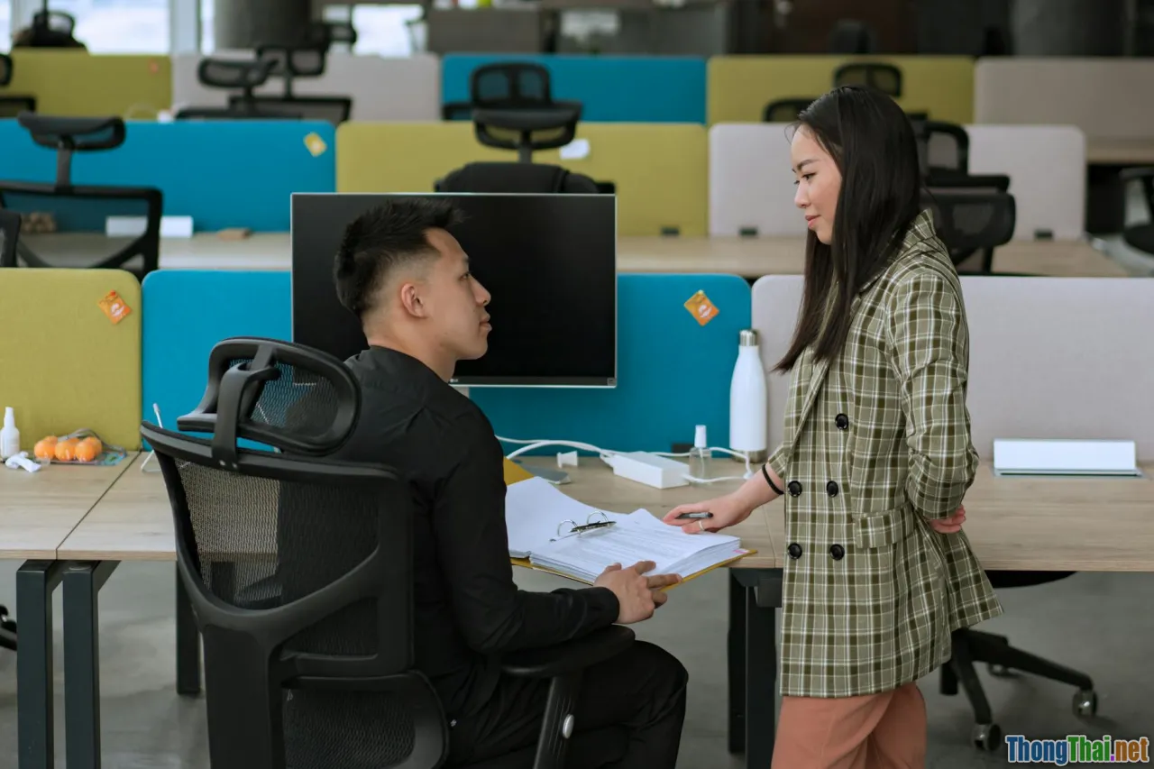 comparison, office people, daily conversation