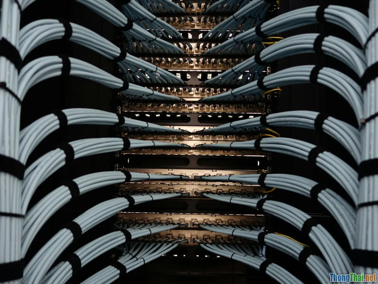 cyber defense, enterprise network