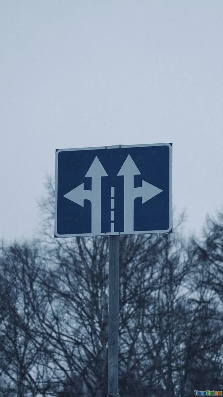 decision making, investor choice, crossroads