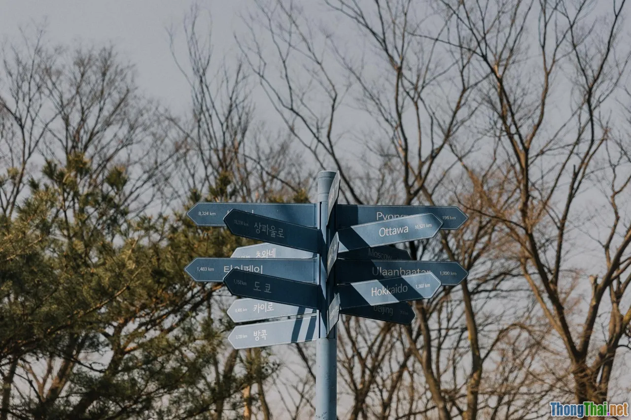 decision tree, heuristic, quick guide