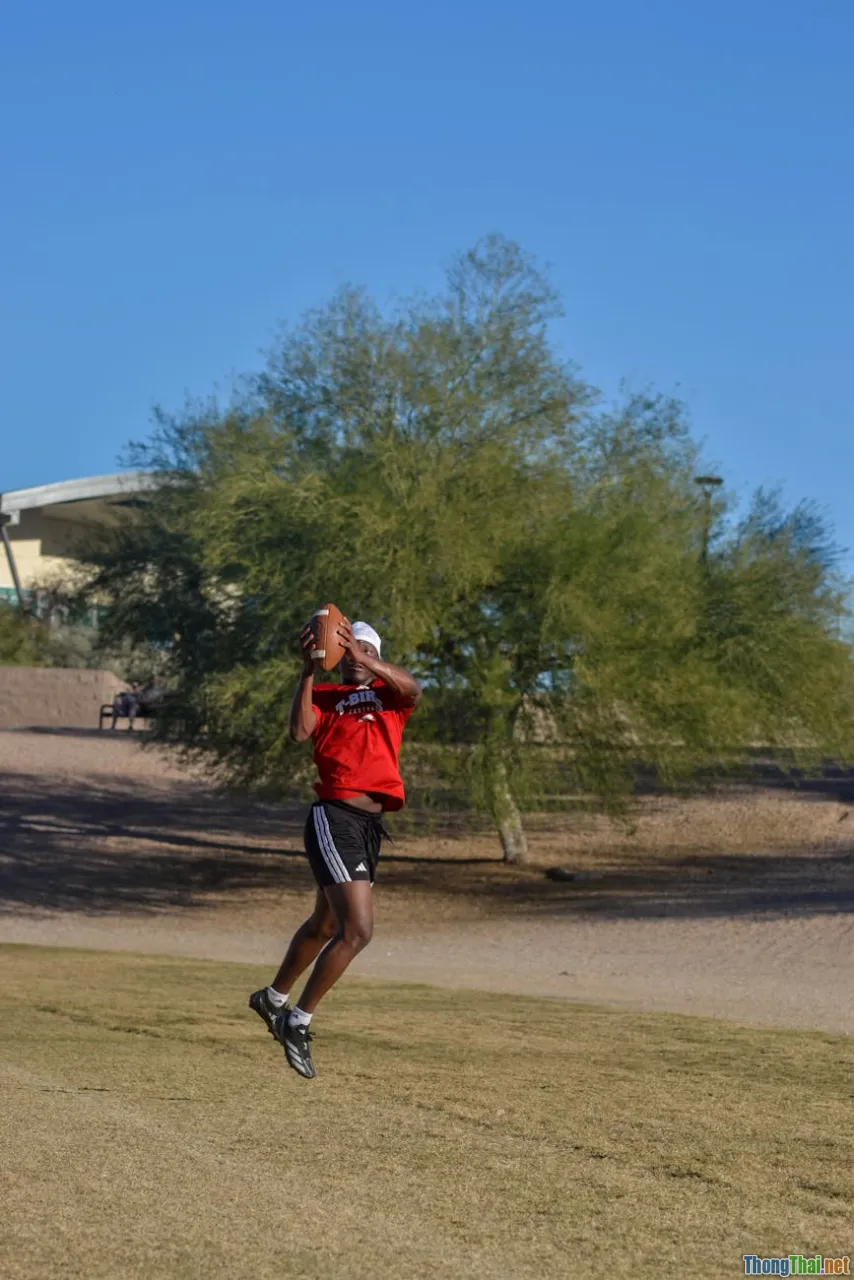 deliberate practice, skill plateau