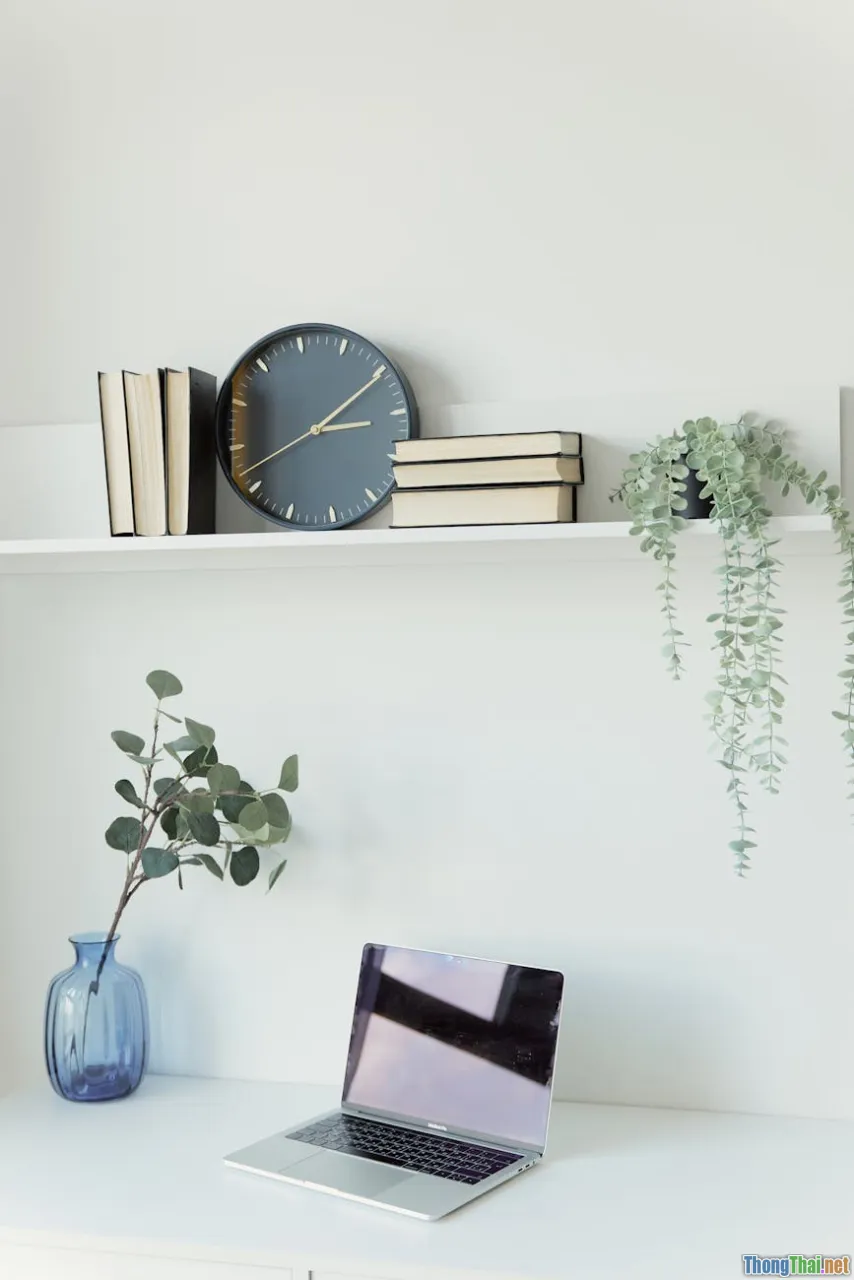 desktop terrarium, small plant shelf, workspace greenery