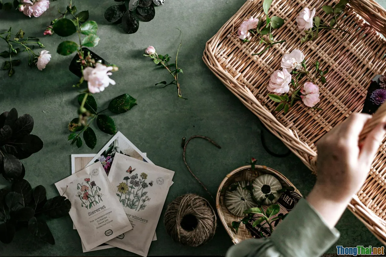 eco-friendly gifts, recycled materials, green decor