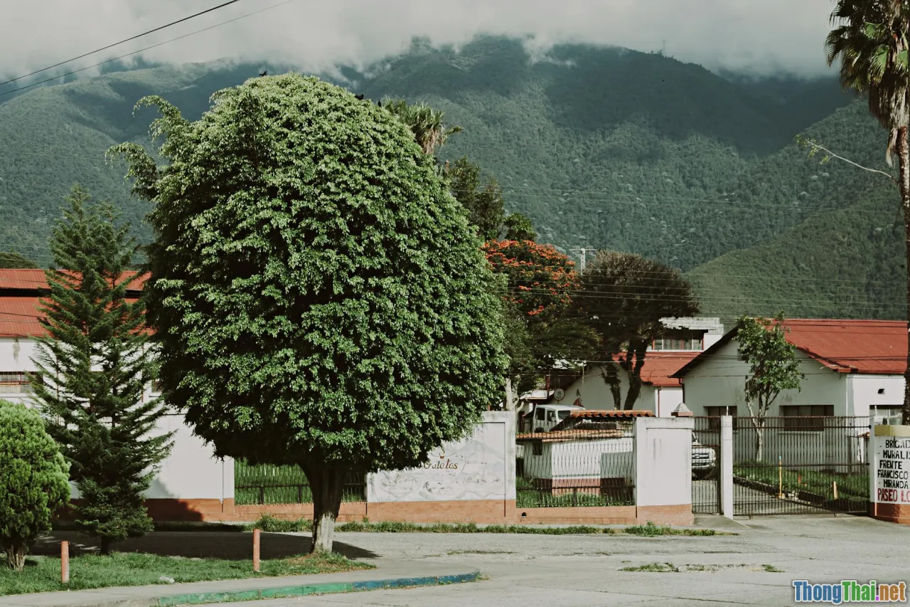 ecotourism success stories, local community, nature reserve