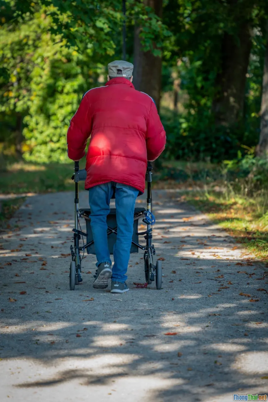 elderly metabolism, senior health